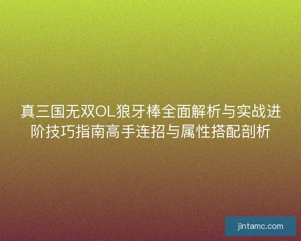 真三国无双OL狼牙棒全面解析与实战进阶技巧指南高手连招与属性搭配剖析